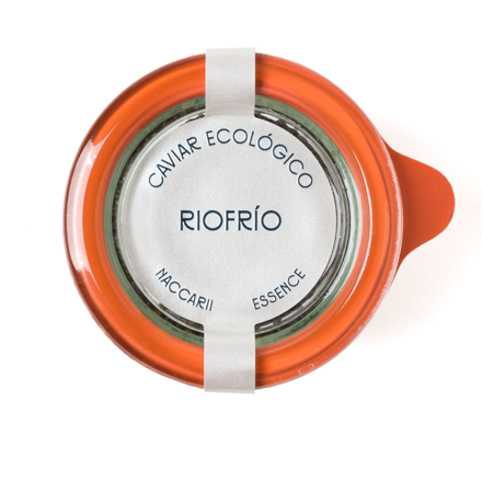 Foto 2-Naccarii Essence-FP